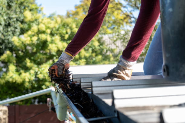 Gutter Cleaning